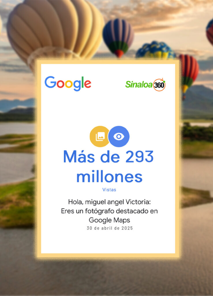 Google Maps 293 millones